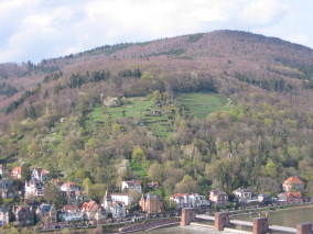 IMG_1668.JPG